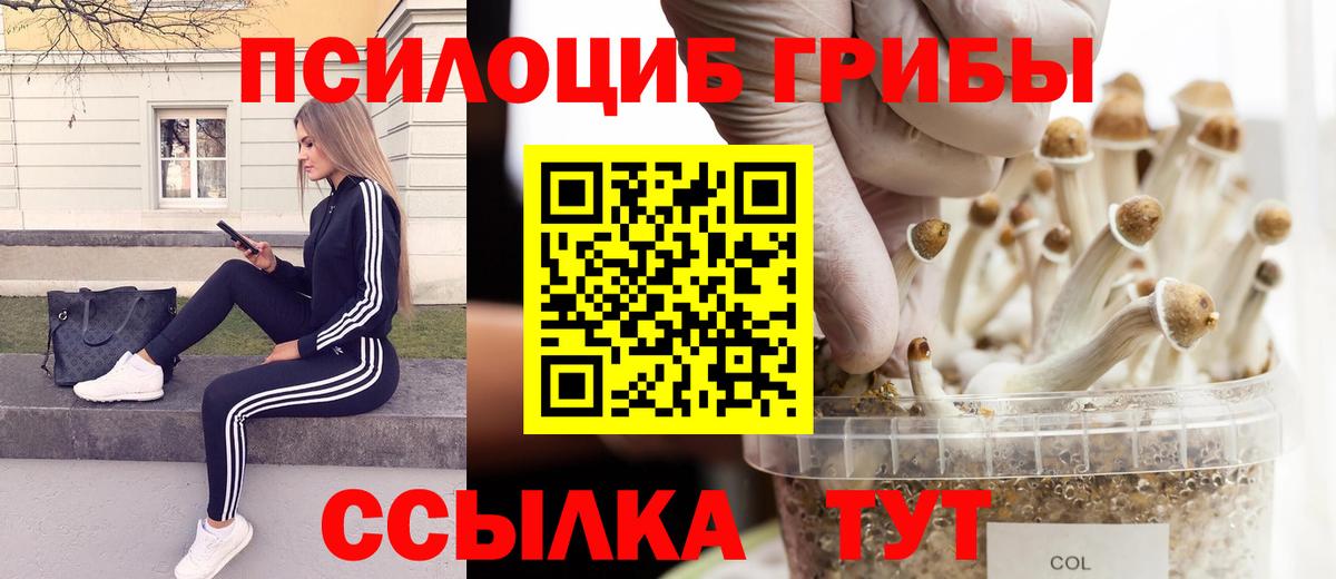Галлюциногенные грибы Psilocybine cubensis Сланцы